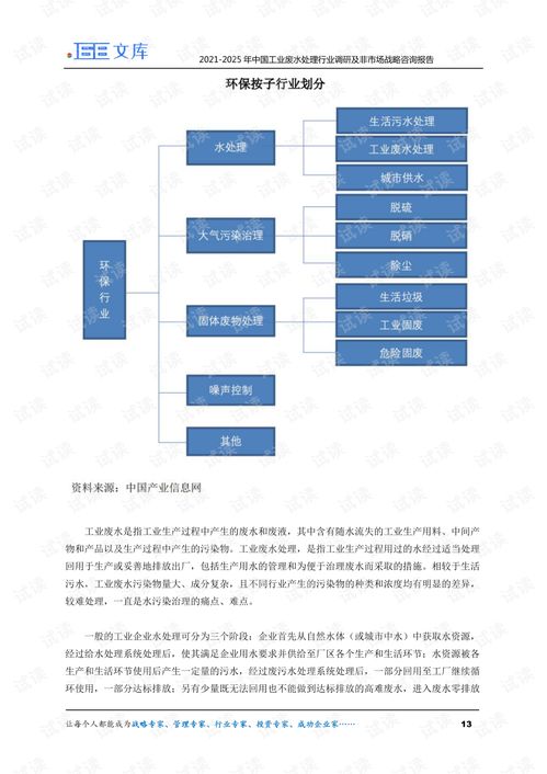 2021-2025年中国工业废水处理行业调研及非市场战略咨询报告 市场信息与分析洞察